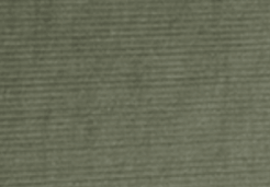 Olive Whisper