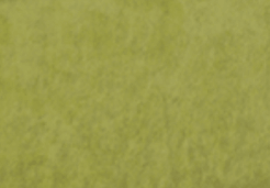 Avocado Royal