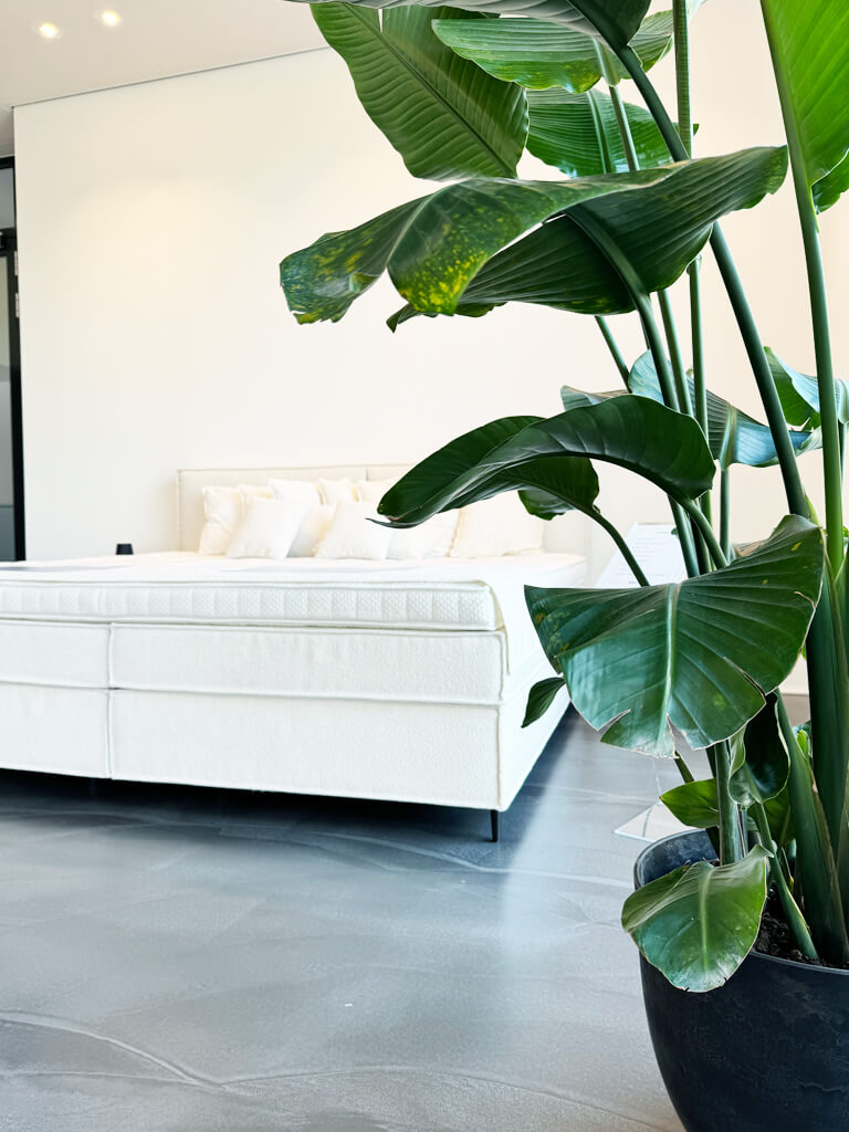Mozart Showroom Nordhorn
