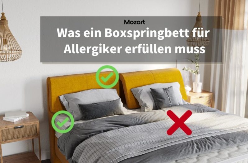 Boxspringbett für Allergiker - Worauf achten?