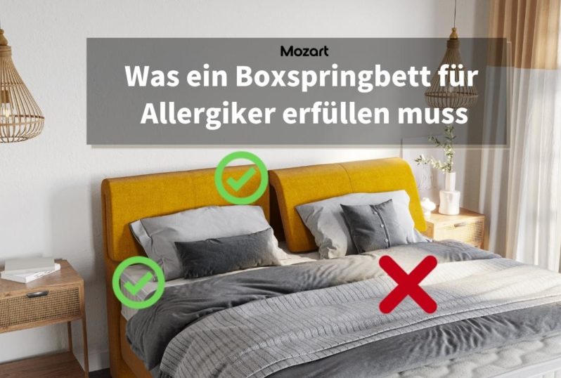 Boxspringbett für Allergiker - Worauf achten?