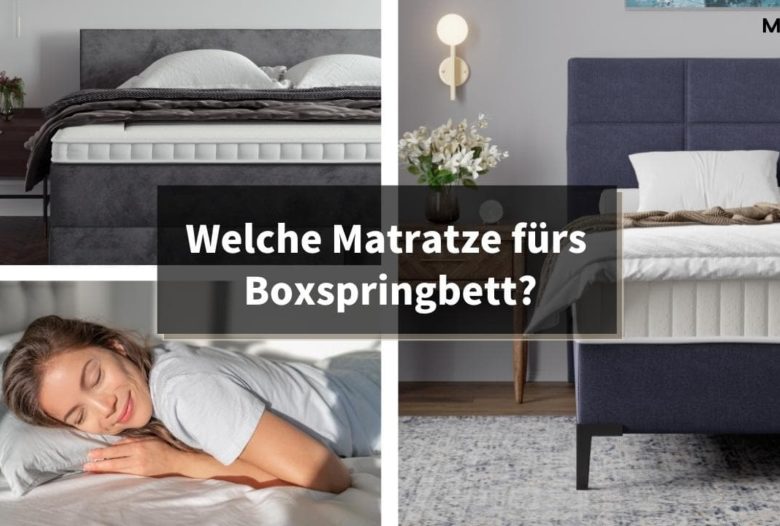 Ratgeber Mozart
